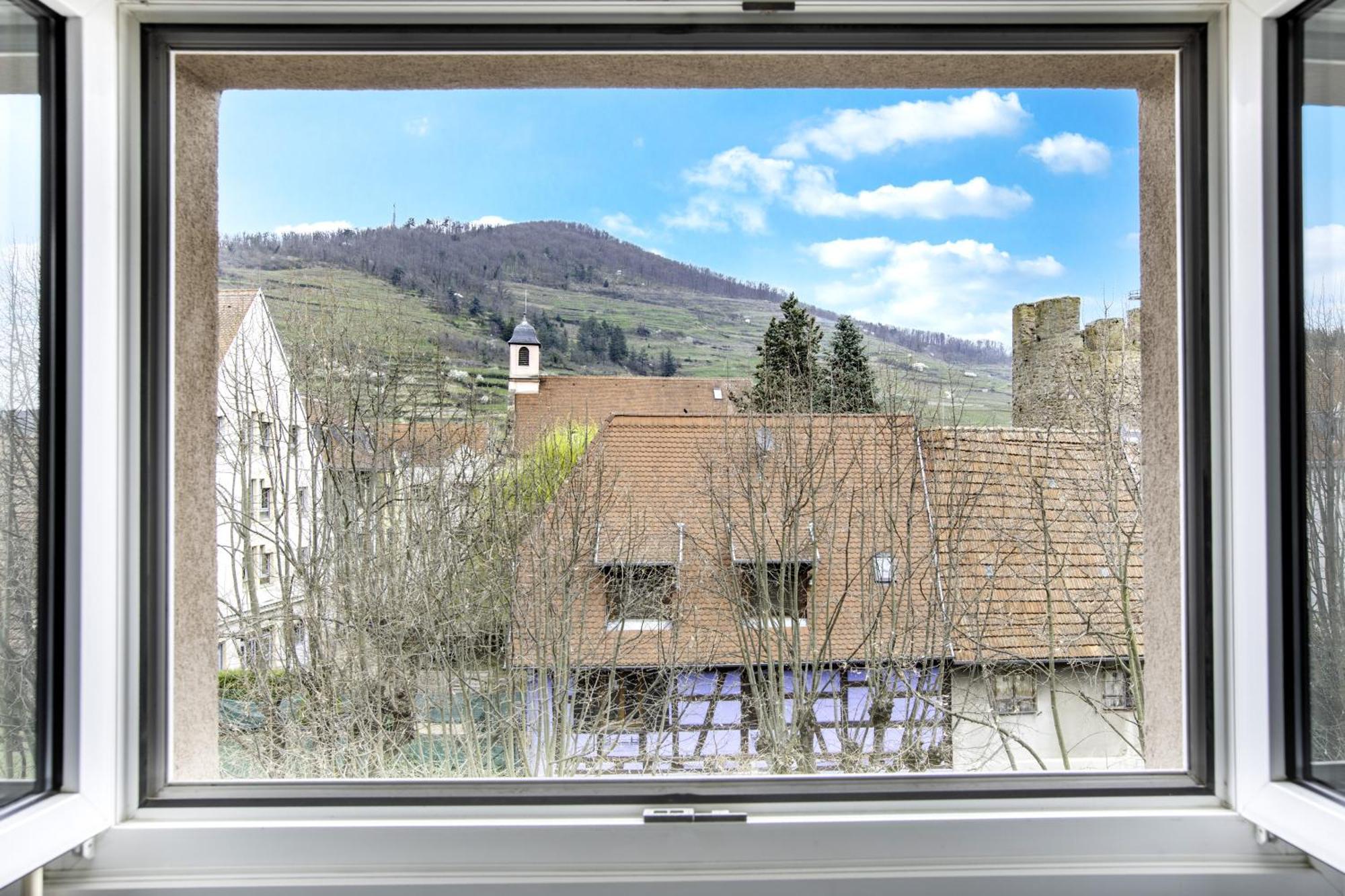Choupette de la vallée avec garage Kaysersberg-Vignoble Exterior foto